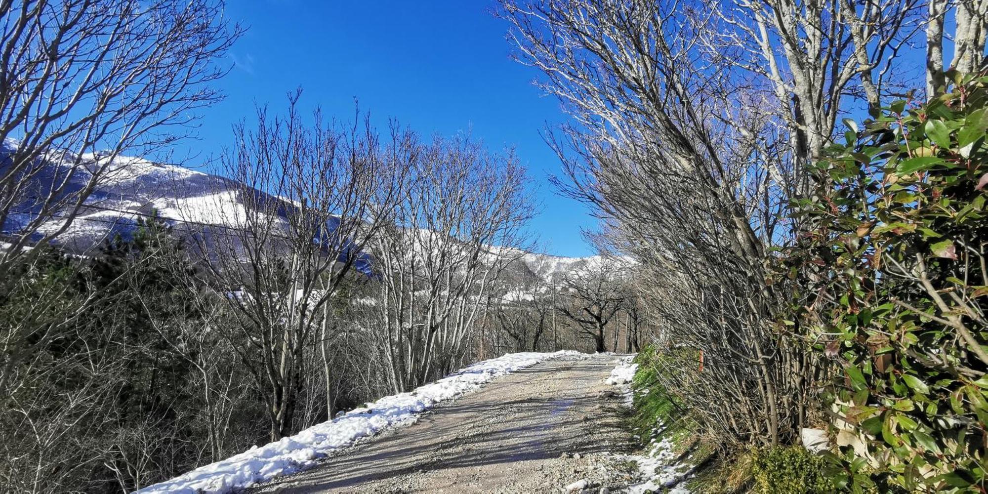 La Casetta Di Gino E Marcella Sassoferrato Dış mekan fotoğraf