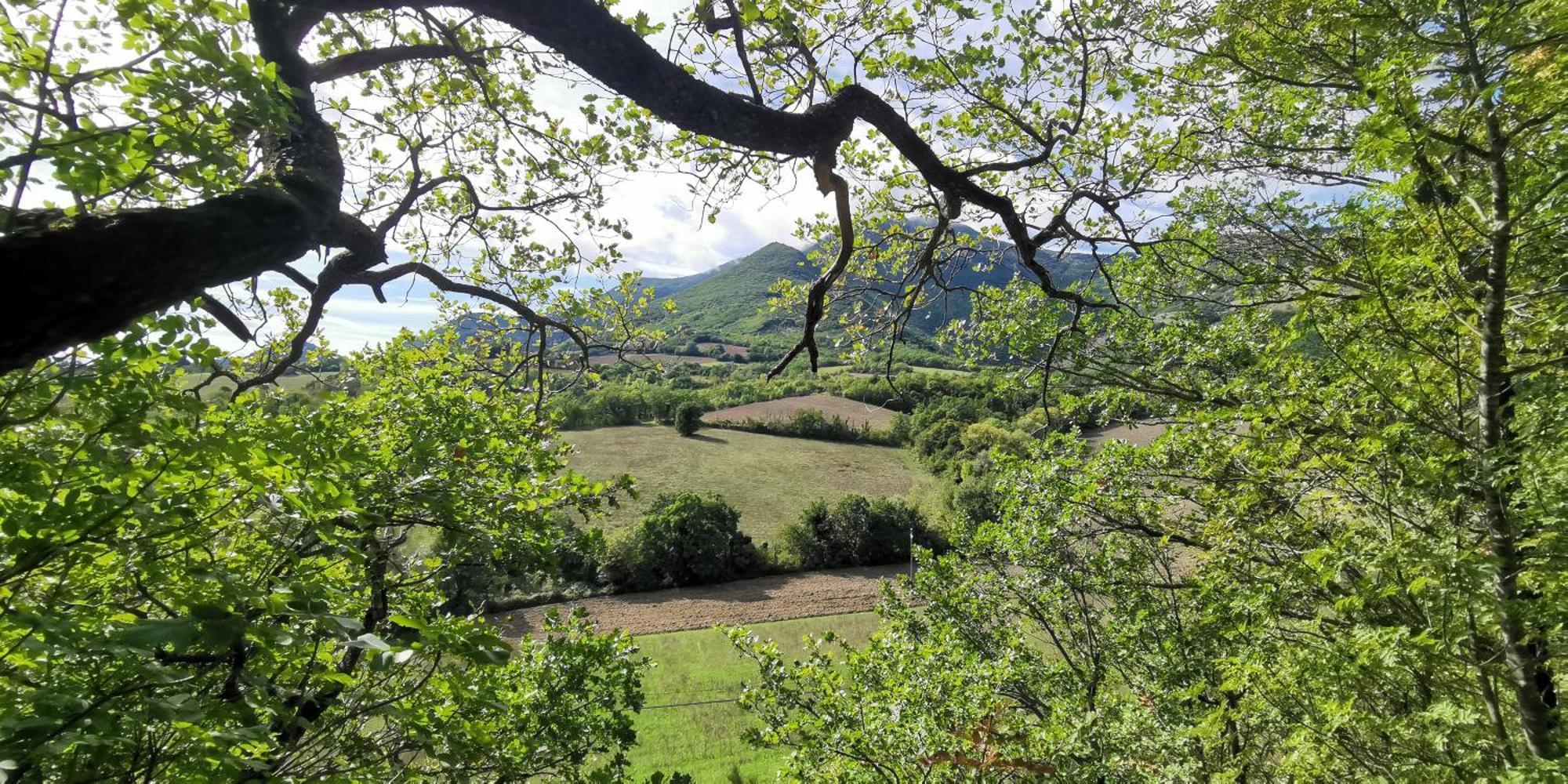 La Casetta Di Gino E Marcella Sassoferrato Dış mekan fotoğraf